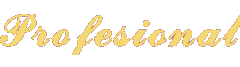 Profesional